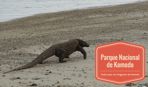 Dragón de Komodo en Parque Nacional de Komodo