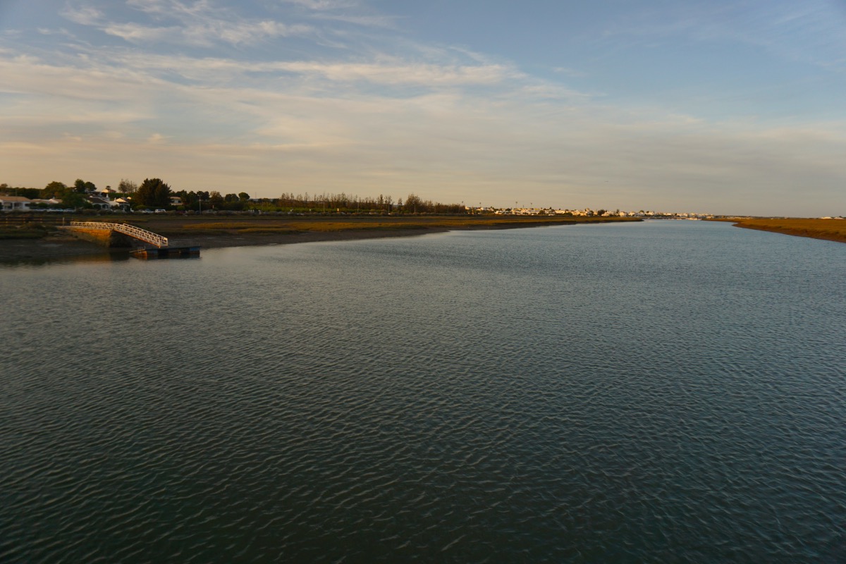 El paseo también es ideal para la observación de aves como la garza blanca, la garza gris y cigüeñas.