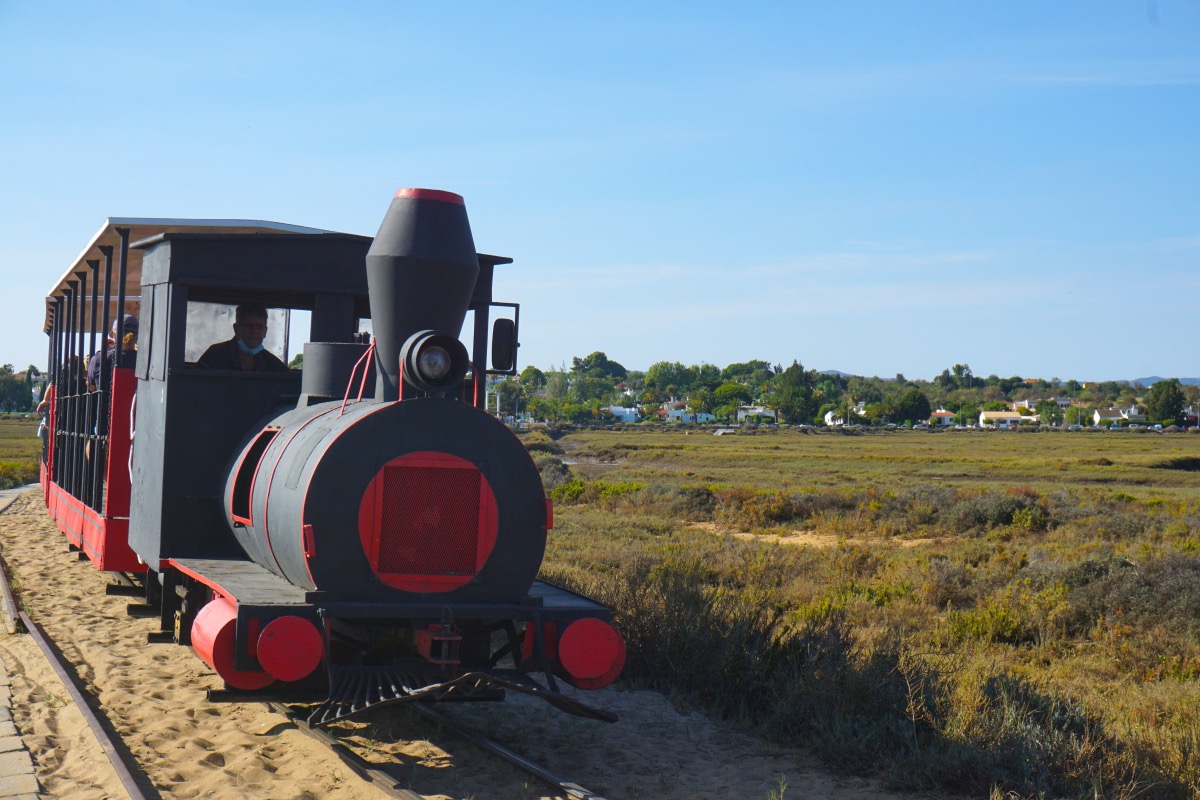Este tren se construyó inicialmente para transportar la pesca de atún y actualmente sólo cumple esta función turística