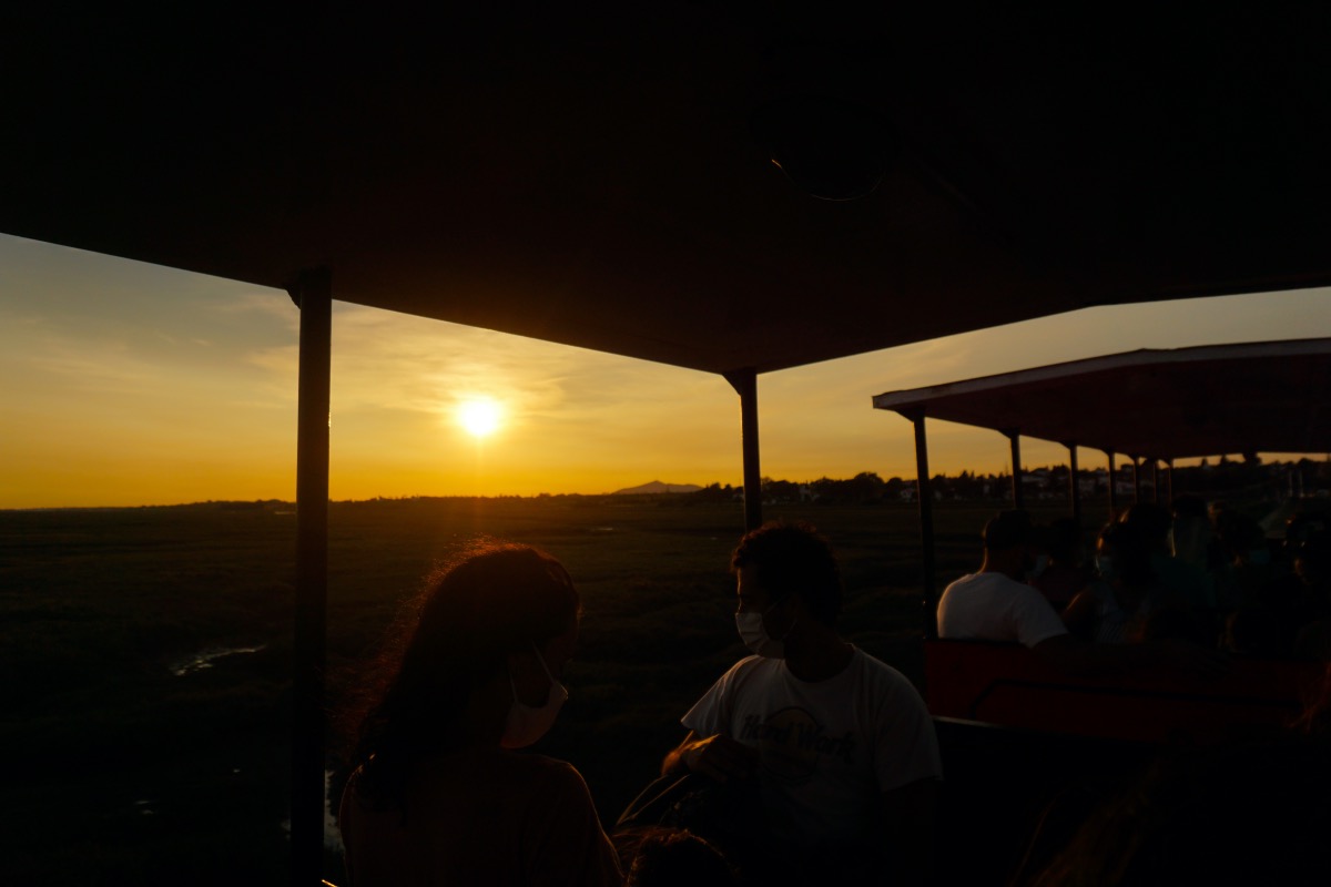 El tren al atardecer, pasando por los paisajes increíbles del Parque Natural da Ría Formosa