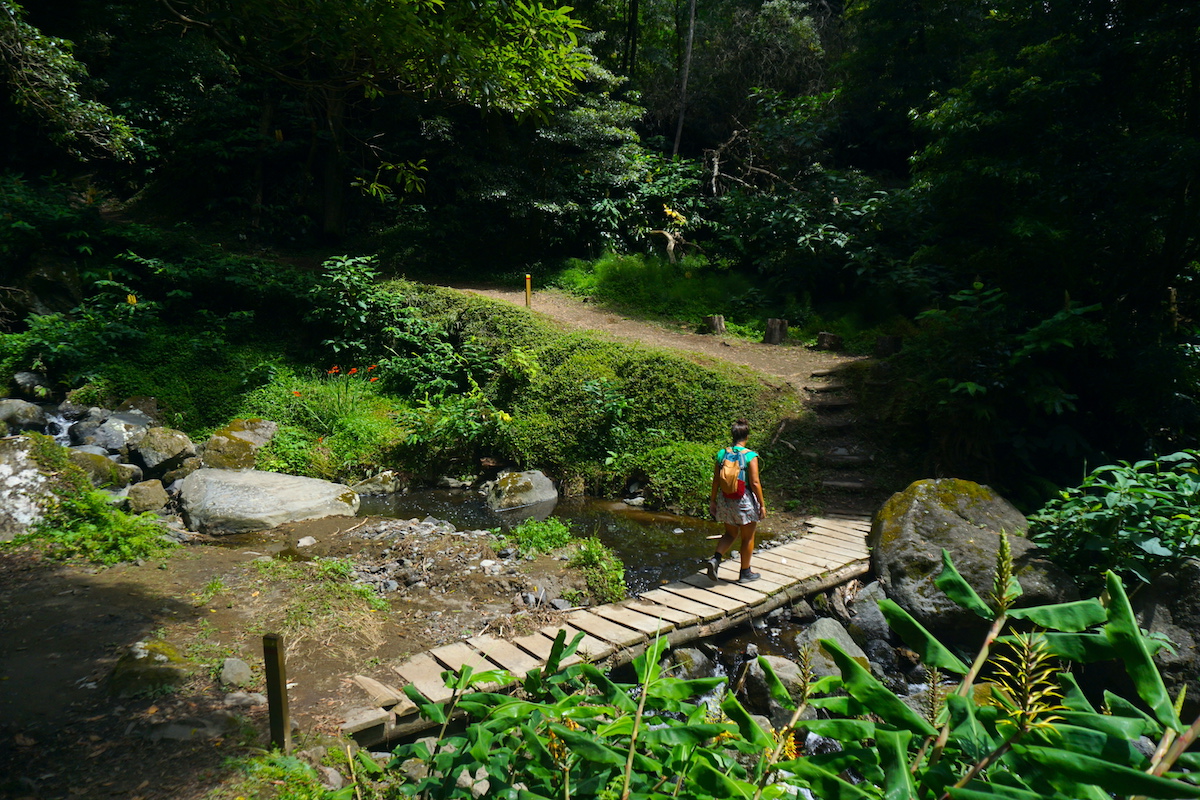 Sendero hacia la cascada Salto do Prego