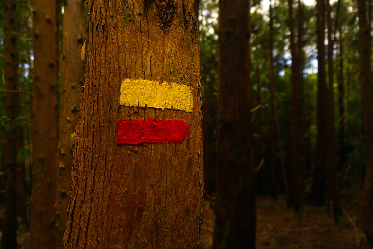 Senderos: la mejor forma de conocer las Azores