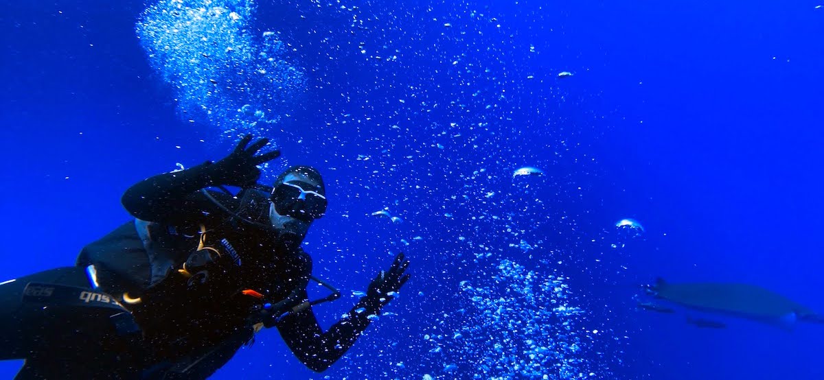 Yo, feliz, buceando en las aguas de santa Maria con una mantarraya y pececillos detrás